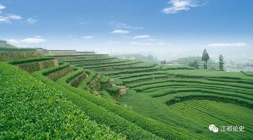 蔡鍔主政云南時期的實業興辦與發展