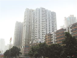 兩地車牌政策調(diào)整 珠海樓市迎短暫波動(dòng) 替代政策或助力實(shí)業(yè)投資